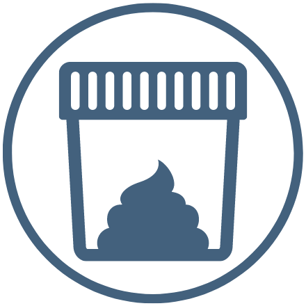 schaedelbasis von oben