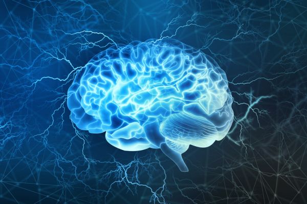 Bildung und Reifung von neuronalen Mustern im Gehirn
