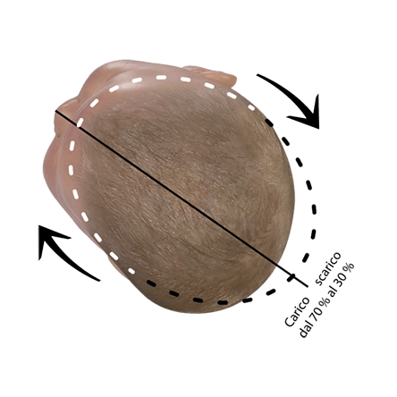 Posizione corretta della testa del bambino plagiocefalia