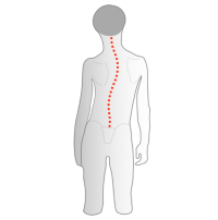 schaedelbasis von oben