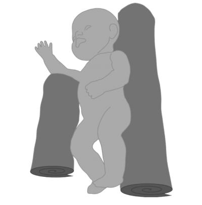 Schaedel eines Saeuglings Knorpelfugen und Schaedelnaehte